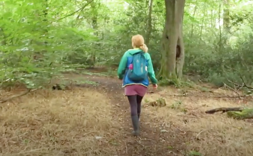 ecclesall woods virtual walk